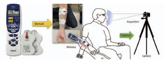 Visual feedback using VR patient avatar research figure