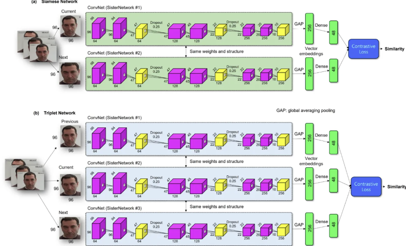 Siamese and triplet network architecture figure